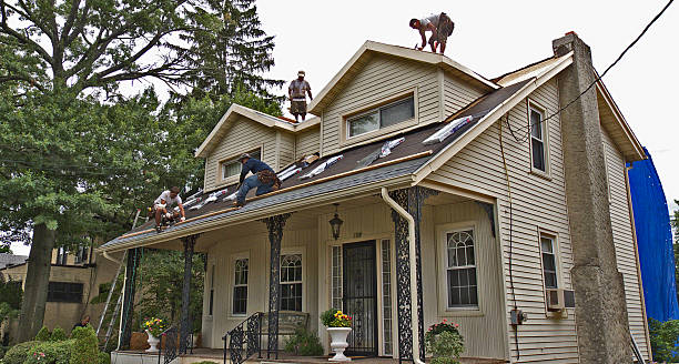 Quick and Trustworthy Emergency Roof Repair Services in Royal Palm Beach, FL
